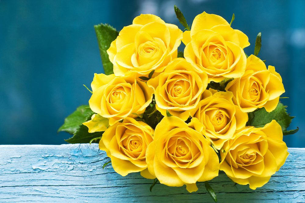 yellow flowers