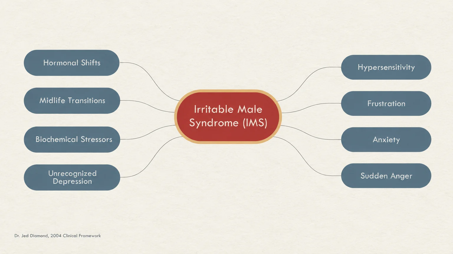 Mind map centered on Irritable Male Syndrome connecting causes like midlife transitions to symptoms like anxiety and anger.