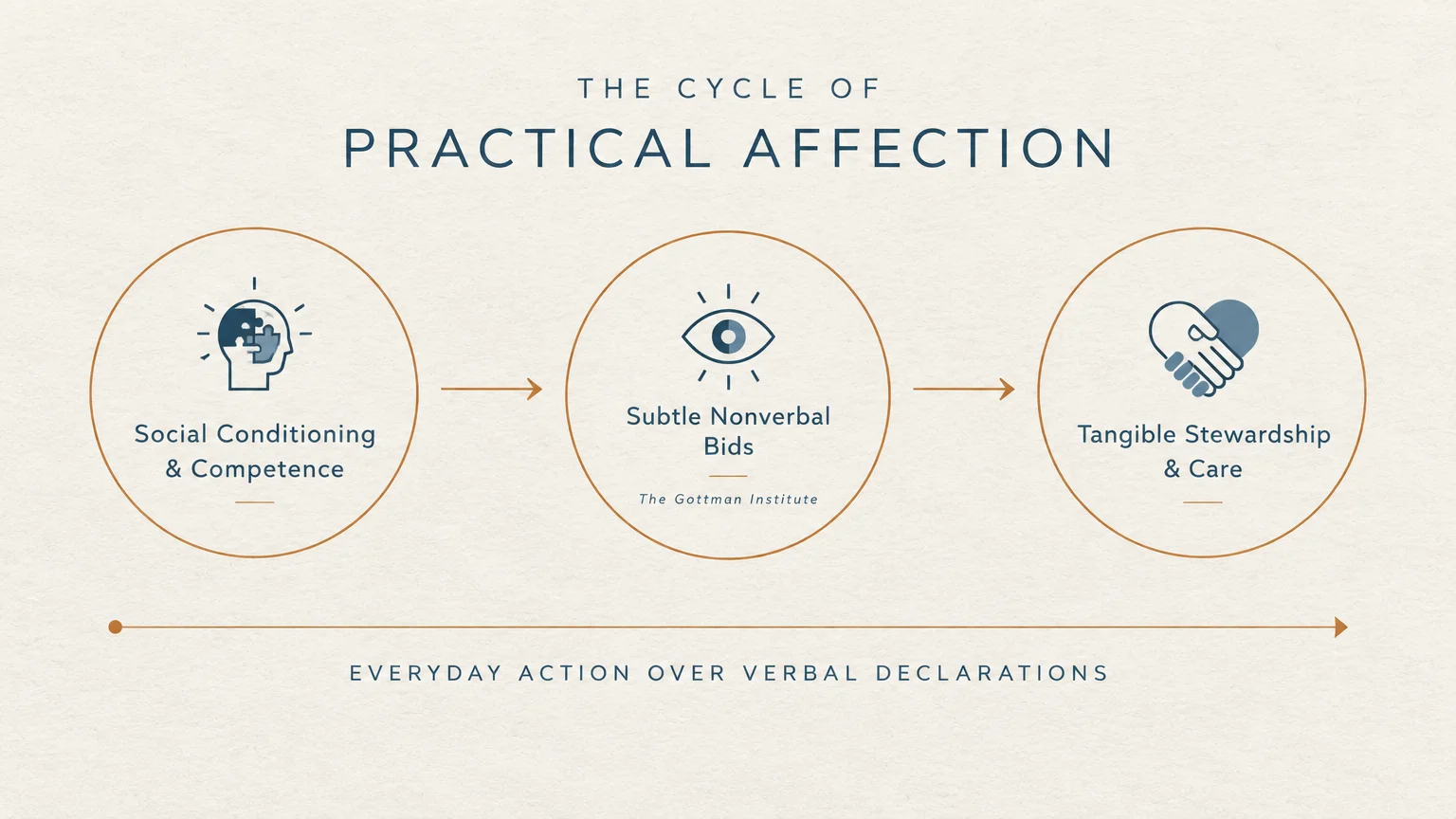 Diagram of the cycle of practical affection showing three steps from social conditioning to nonverbal bids and tangible care.
