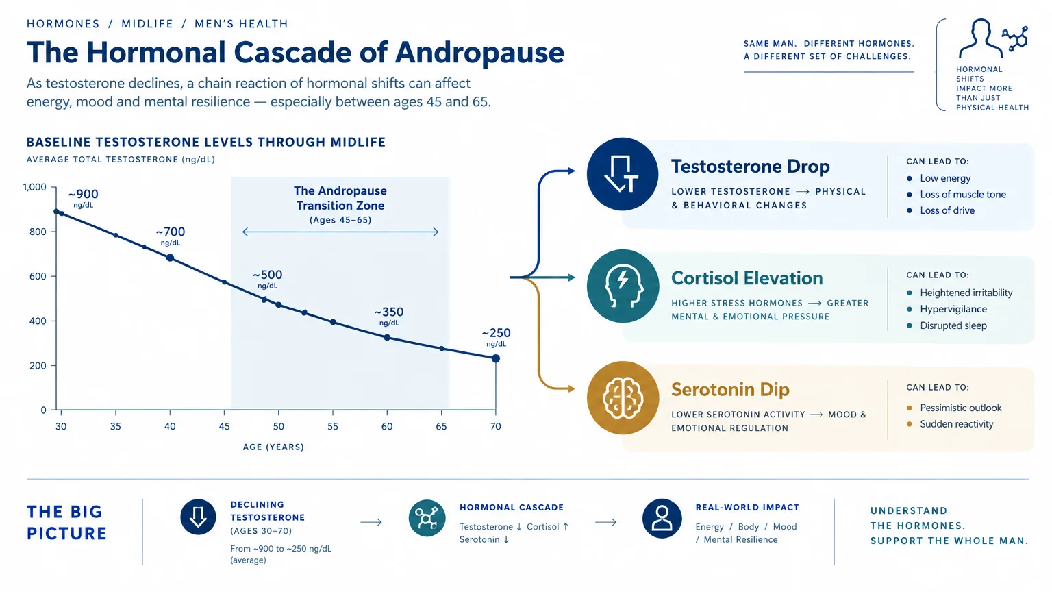 Infographic showing testosterone declining with age alongside linked effects like cortisol elevation, serotonin dip, and mood changes.